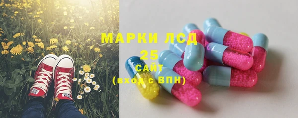 амф Алзамай