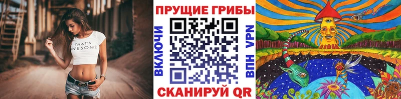 Псилоцибиновые грибы прущие грибы  МЕГА как войти  Отрадная 